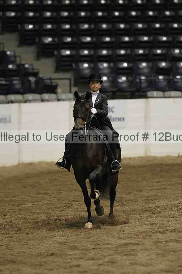 Proof 12buck_5977