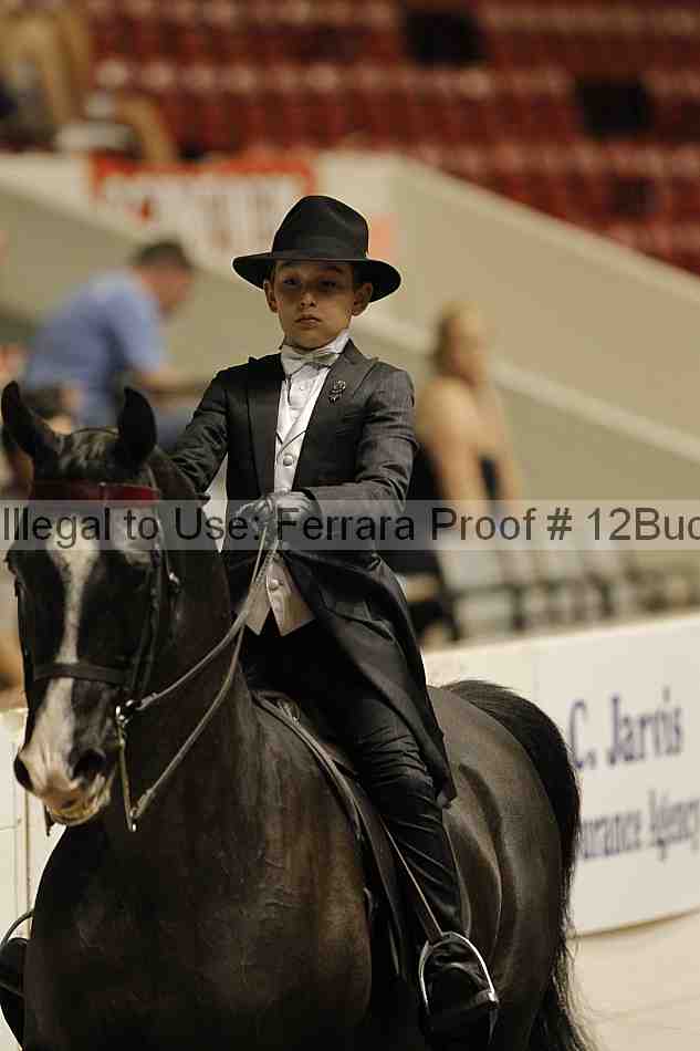 Proof 12buck_5980