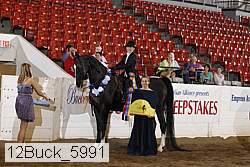 12buck_5991 proof