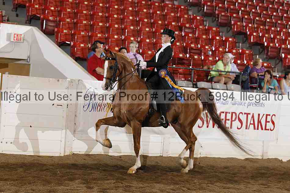 Proof 12buck_5994