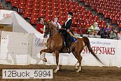12buck_5994 proof