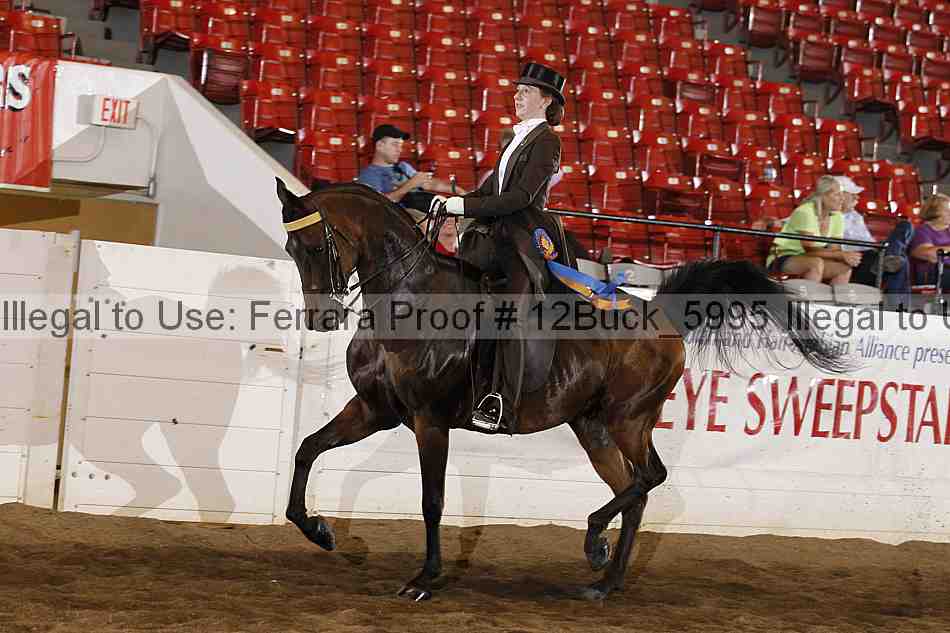 Proof 12buck_5995