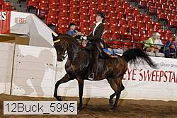 12buck_5995 proof