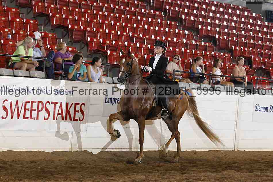 Proof 12buck_5996