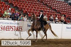 12buck_5996 proof