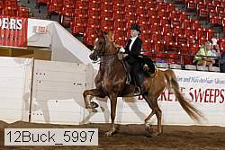 12buck_5997 proof