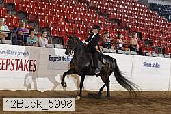 12buck_5998 proof