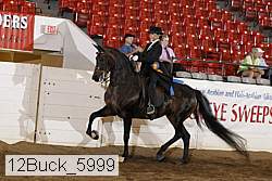12buck_5999 proof