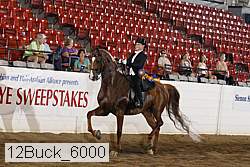 12buck_6000 proof