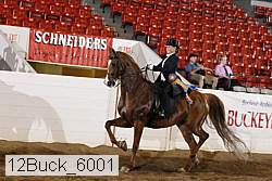 12buck_6001 proof
