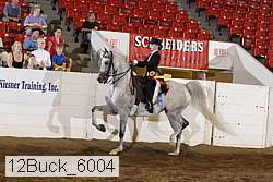 12buck_6004 proof