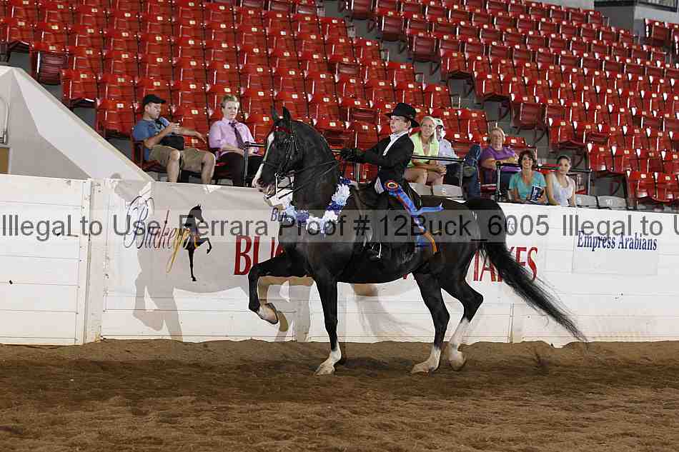Proof 12buck_6005