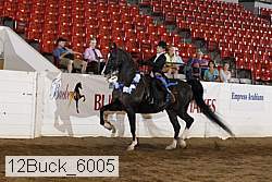 12buck_6005 proof