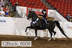 12buck_6006 proof