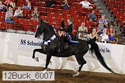 12buck_6007 proof