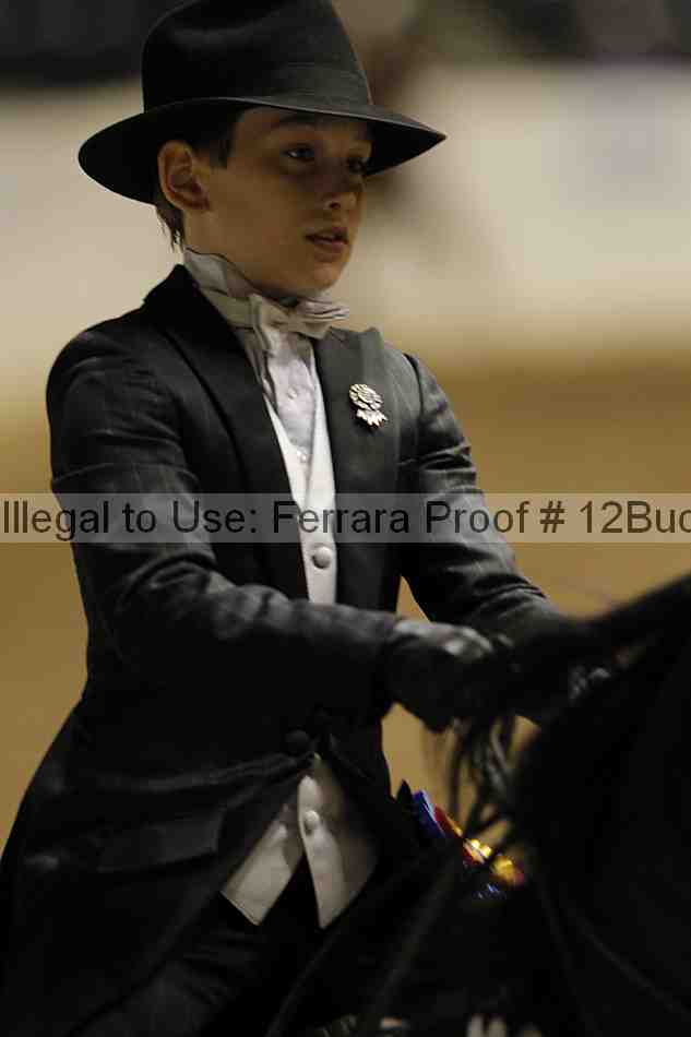 Proof 12buck_6054