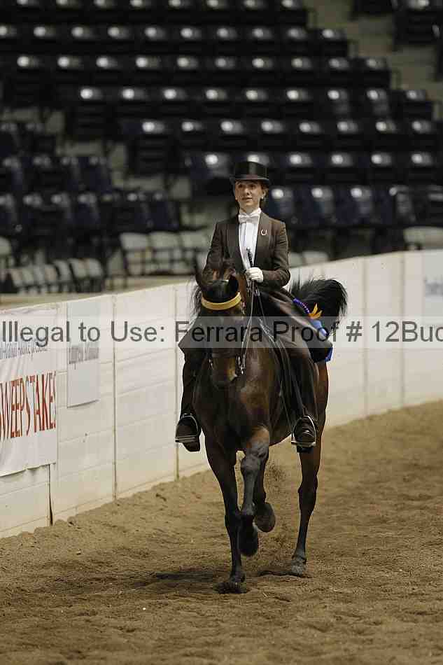 Proof 12buck_6058
