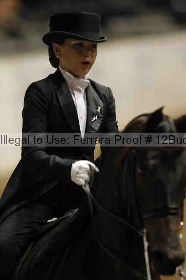 Proof 12buck_6064
