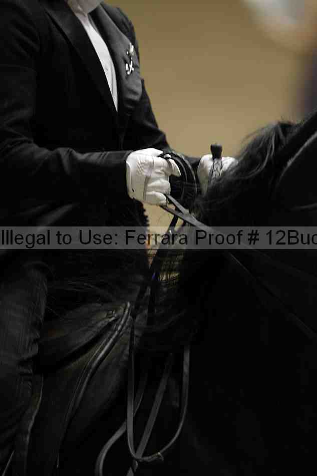 Proof 12buck_6065