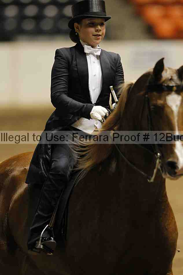 Proof 12buck_6066