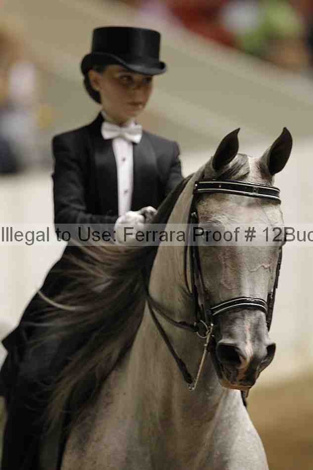 Proof 12buck_6070