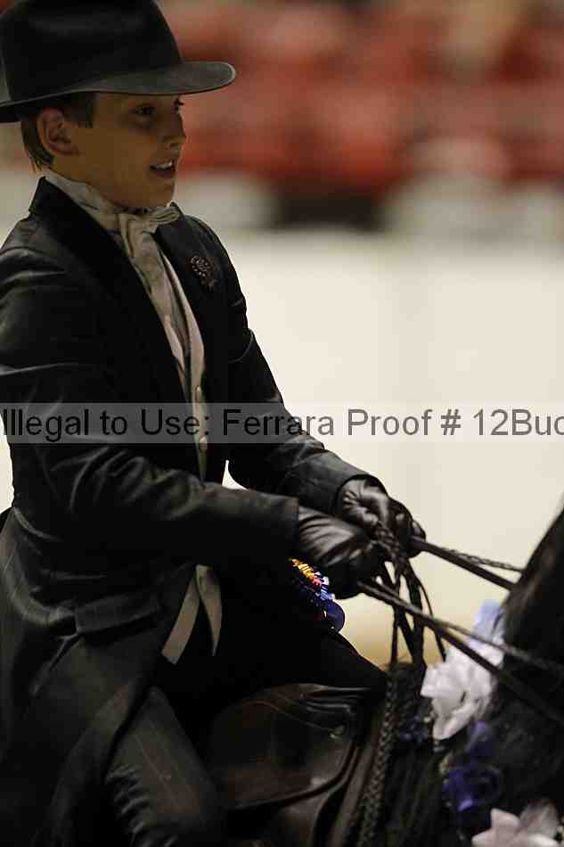 Proof 12buck_6079