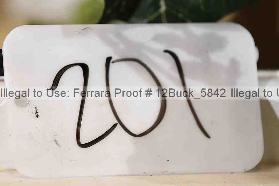 Proof 12buck_5842