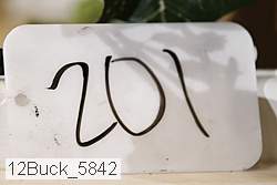 12buck_5842 proof