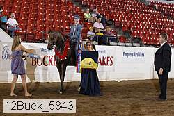 12buck_5843 proof