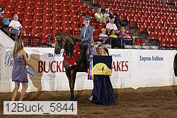 12buck_5844 proof