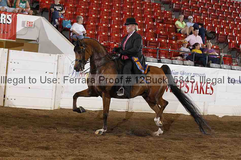 Proof 12buck_5845