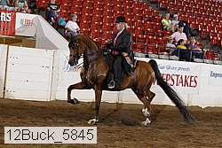 12buck_5845 proof