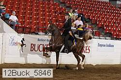 12buck_5846 proof