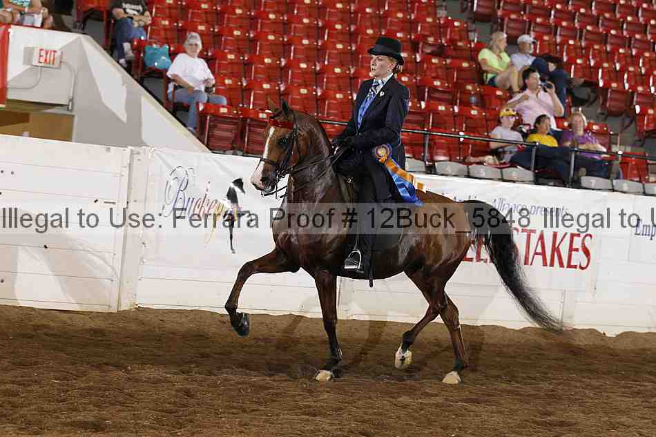 Proof 12buck_5848