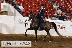 12buck_5848 proof
