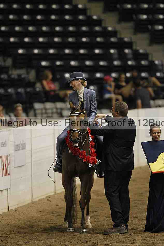 Proof 12buck_5849
