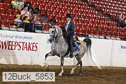 12buck_5853 proof