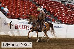 12buck_5857 proof