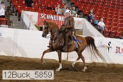 12buck_5859 proof