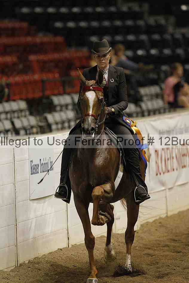 Proof 12buck_5860