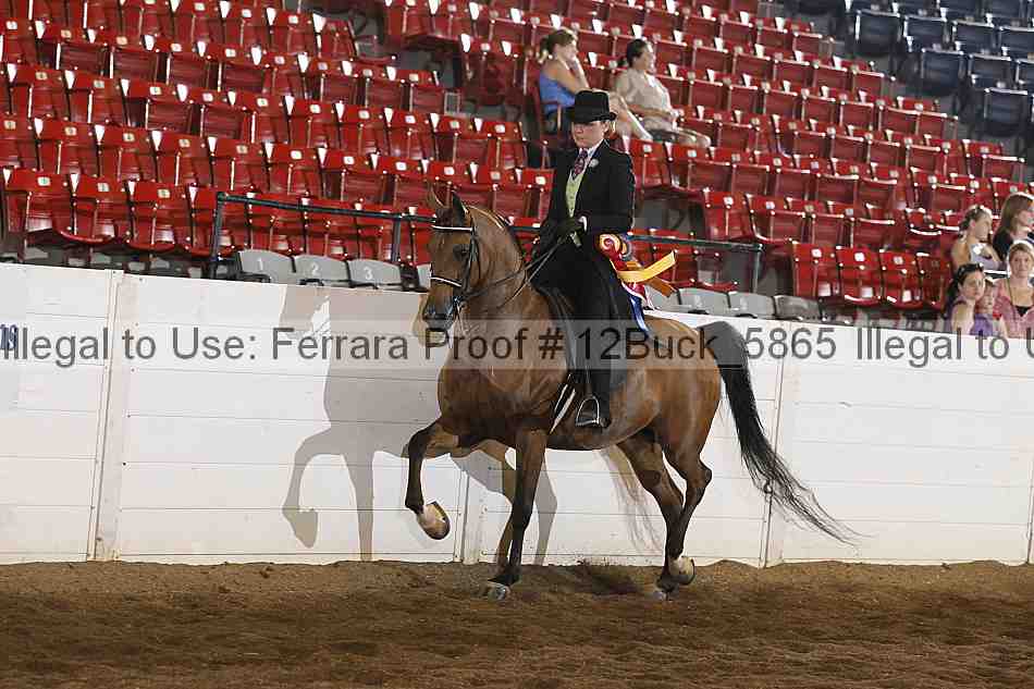 Proof 12buck_5865