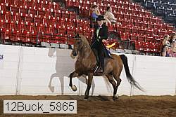 12buck_5865 proof