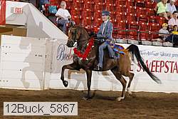 12buck_5867 proof