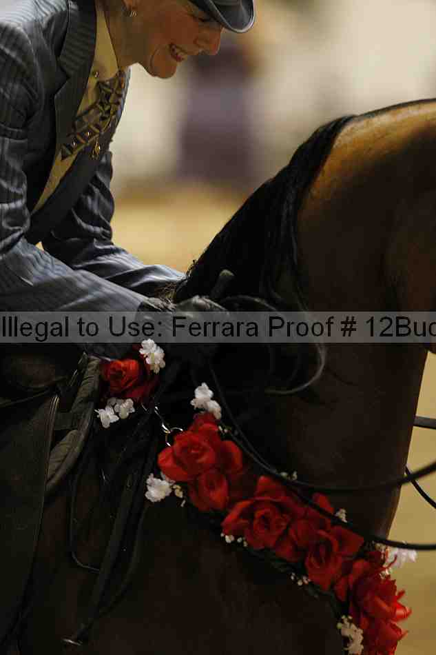 Proof 12buck_5877