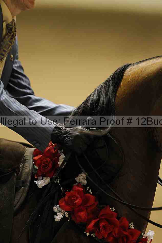 Proof 12buck_5878