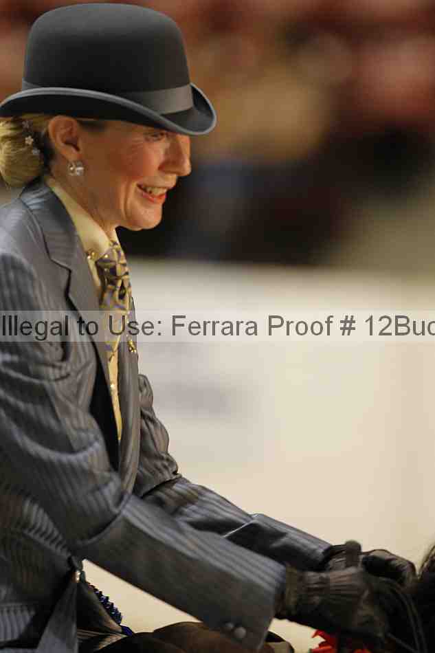 Proof 12buck_5879