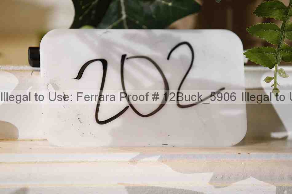 Proof 12buck_5906