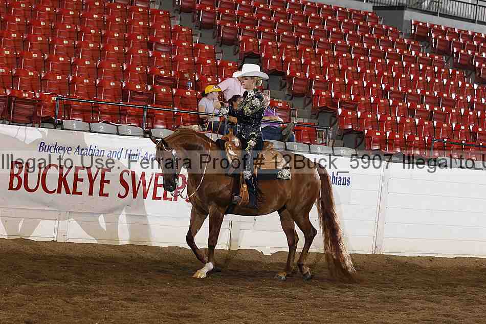 Proof 12buck_5907