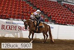 12buck_5907 proof
