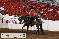 12buck_5910 proof